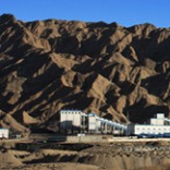 隨著金融危機影響的逐漸減弱，2011年國內(nèi)銷售業(yè)績也顯著增